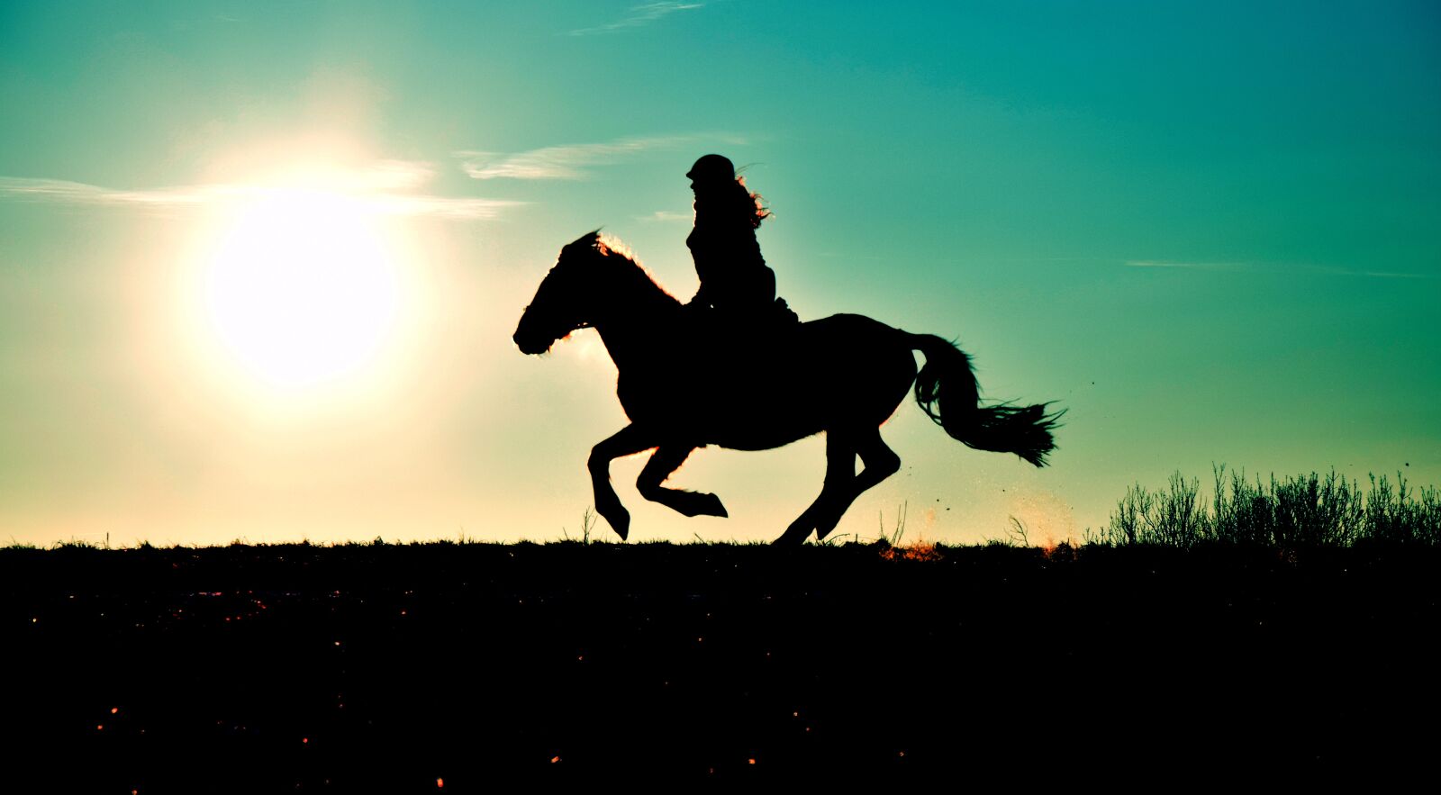 Nikon D3300 sample photo. Silhouette, gallop, reiter photography