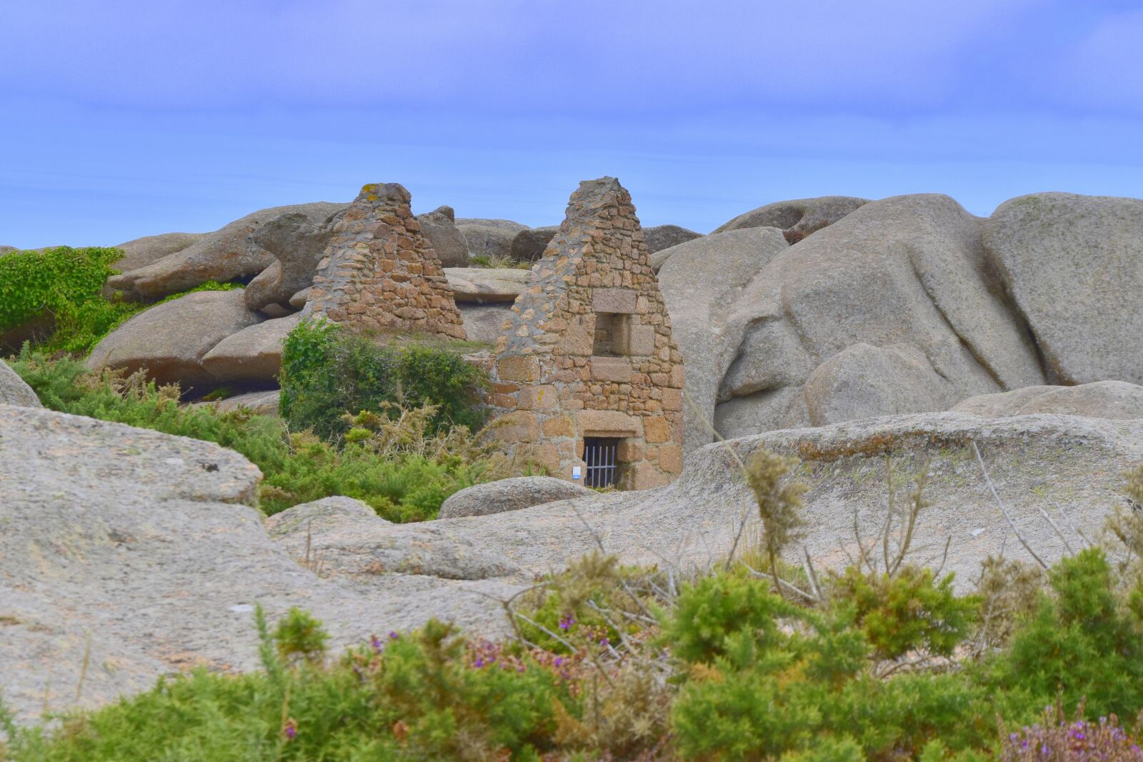Nikon D5600 sample photo. Ruin, house, abandoned photography