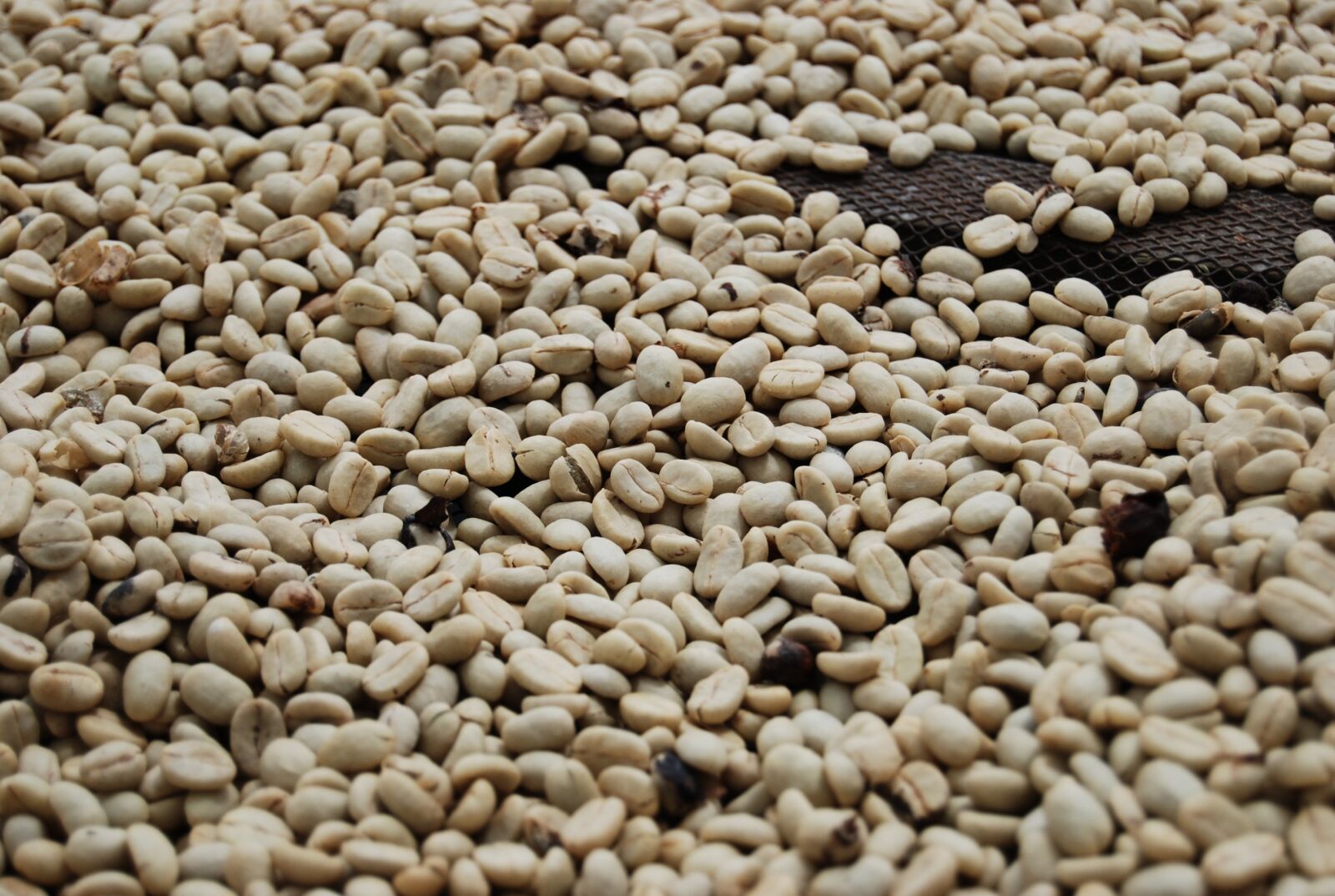 Nikon D80 sample photo. Coffee grains, roasted coffee photography