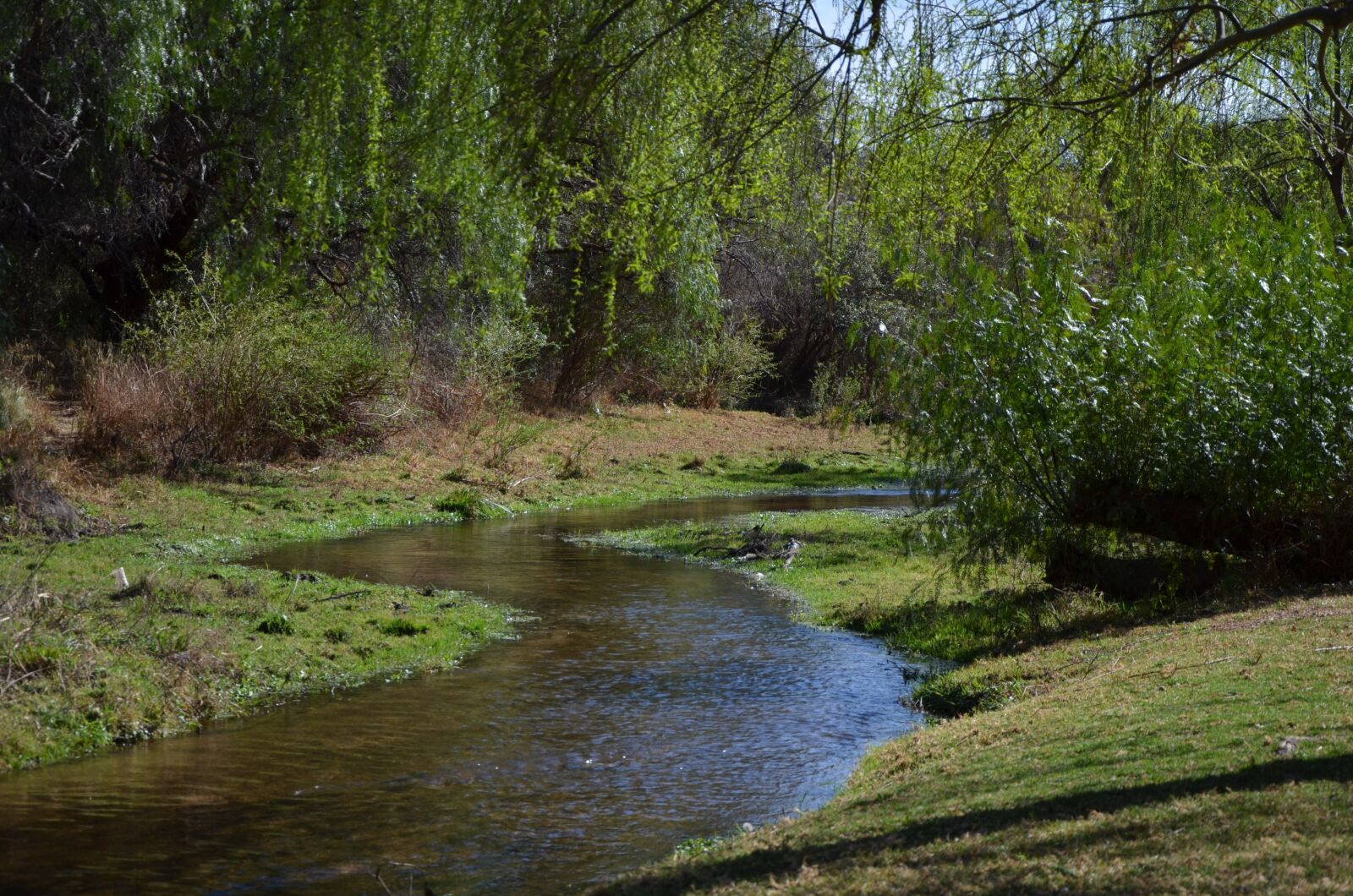 Nikon D7000 sample photo. Nature, mountain, scenic photography