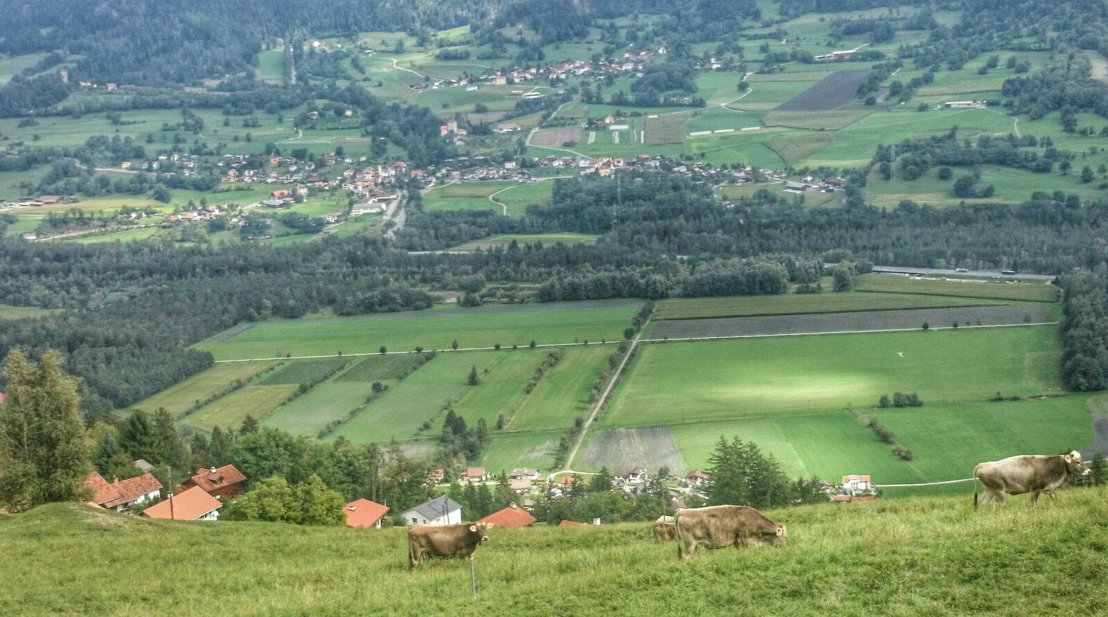 Sony Xperia Z1 Compact sample photo. Panorama, mountains, alpine cow photography