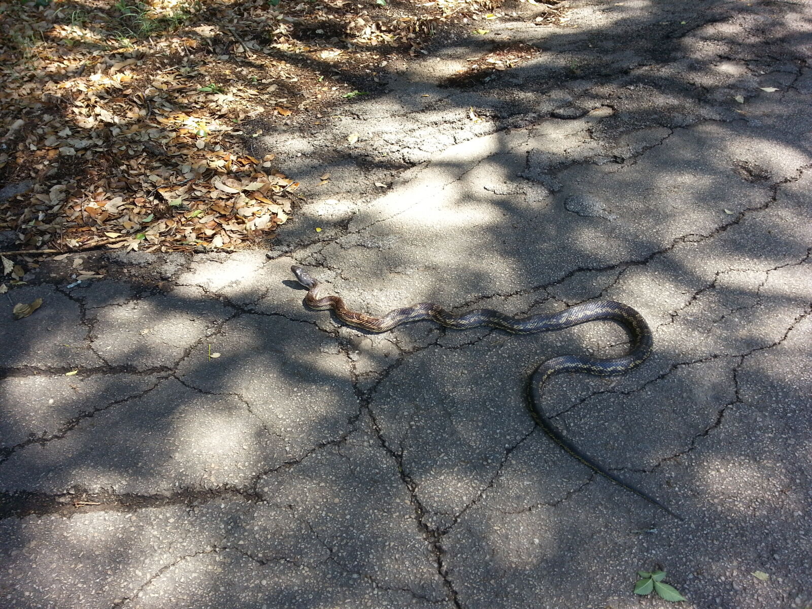 Samsung Galaxy Note2 sample photo