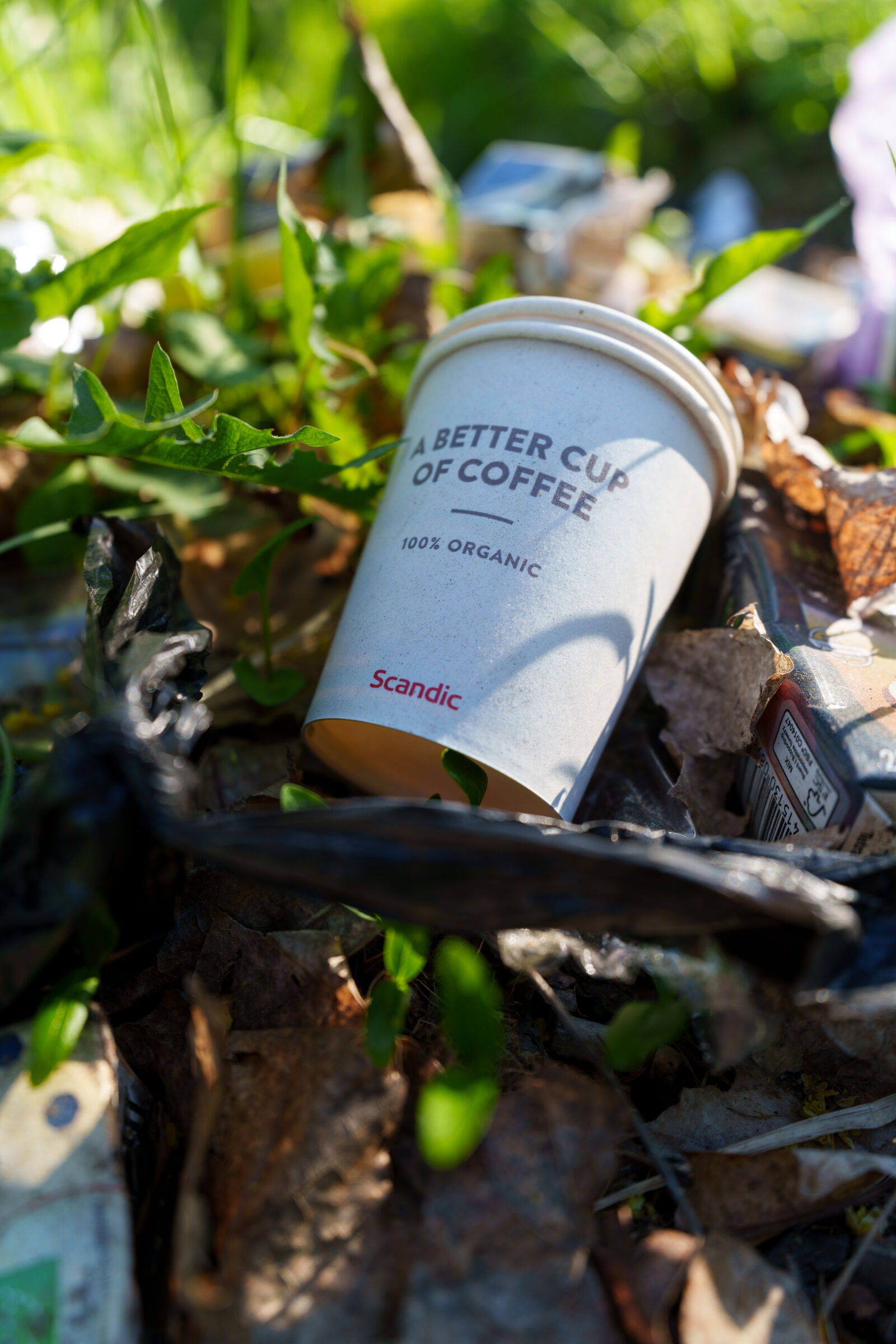 Sony a7R V sample photo. Better cup of littering photography