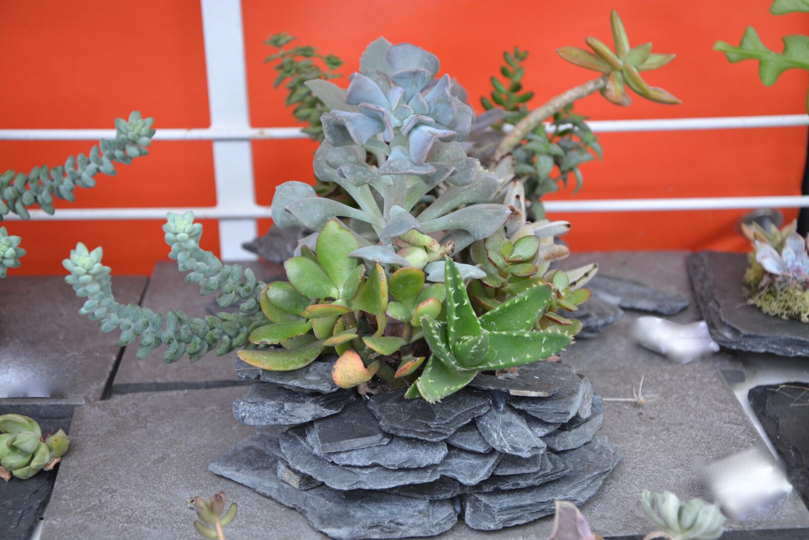 Nikon D5200 sample photo. Flowers, plants, floral composition photography