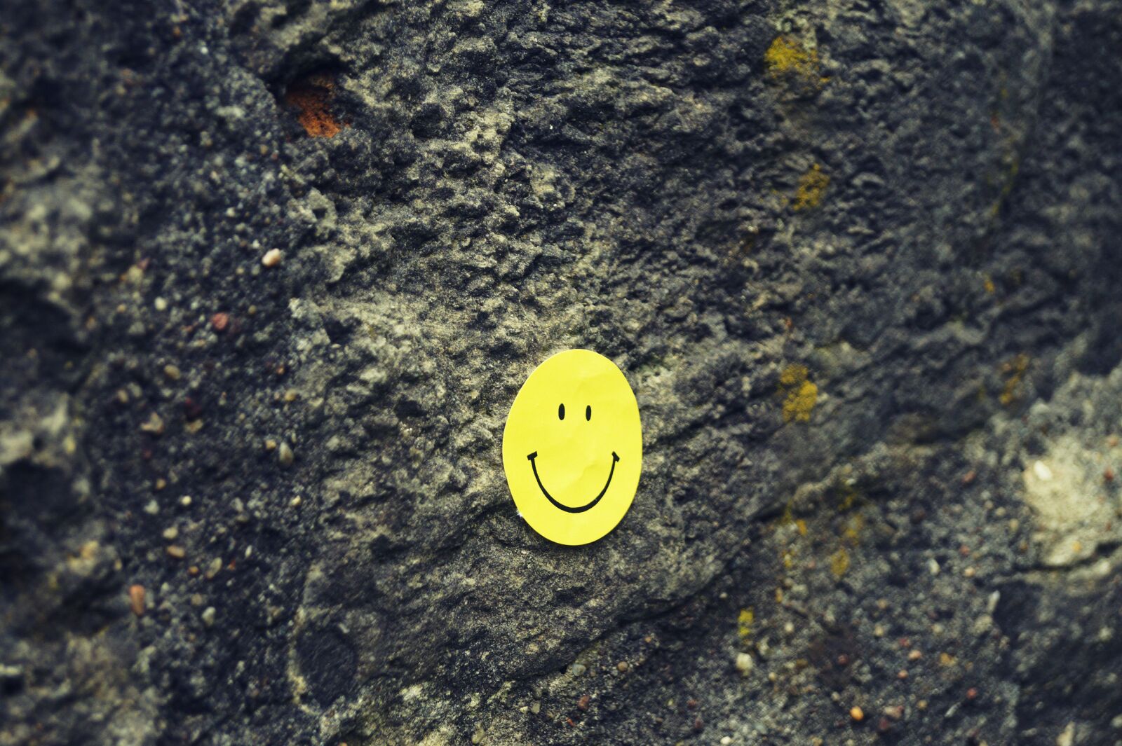 Sony DT 18-55mm F3.5-5.6 SAM II sample photo. Rock, yellow, earth photography
