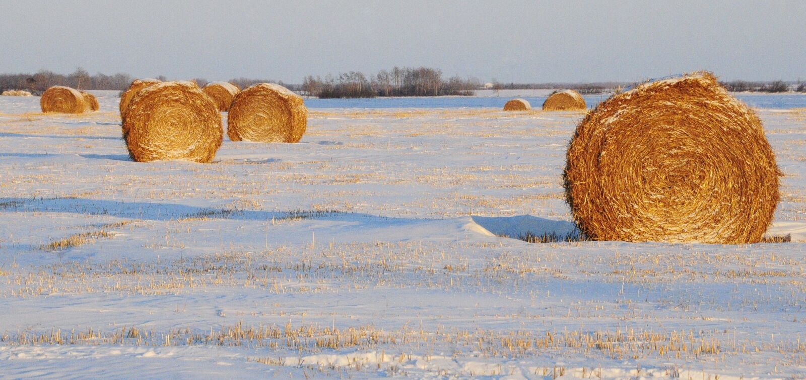 Nikon D300 sample photo. Bales, field, straw bales photography