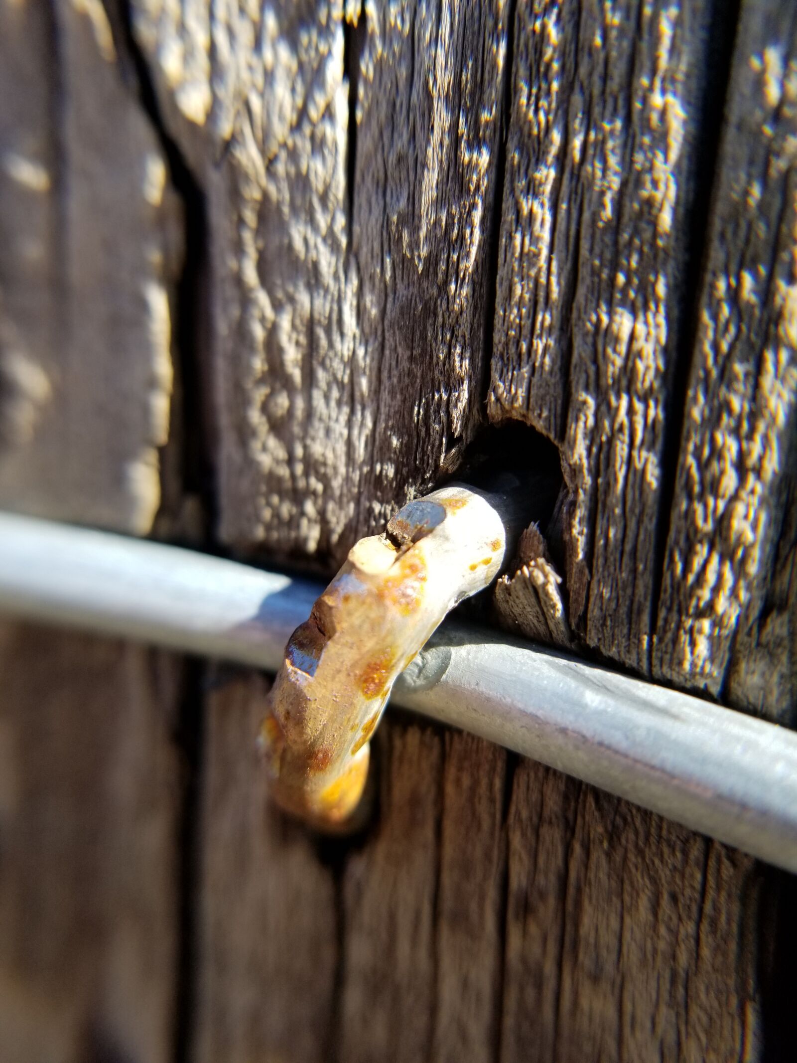 Samsung Galaxy S8 sample photo. Staple, fencepost, wire photography