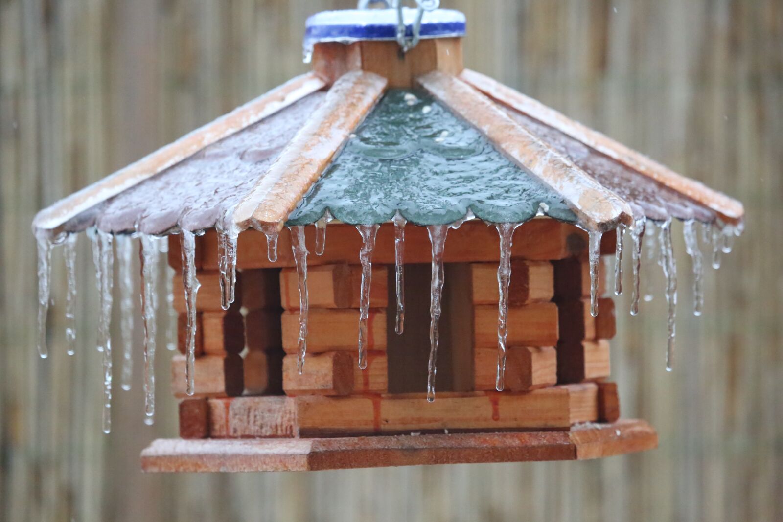Canon EF 100-400mm F4.5-5.6L IS USM sample photo. Icy, icicle, cold photography