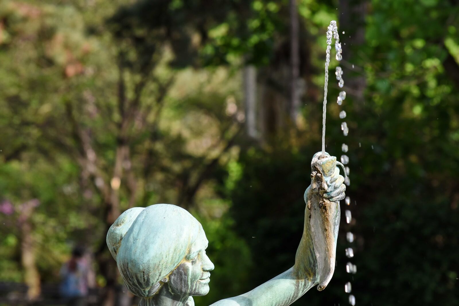 Nikon D5500 sample photo. Bronze, fish, fountain, park photography