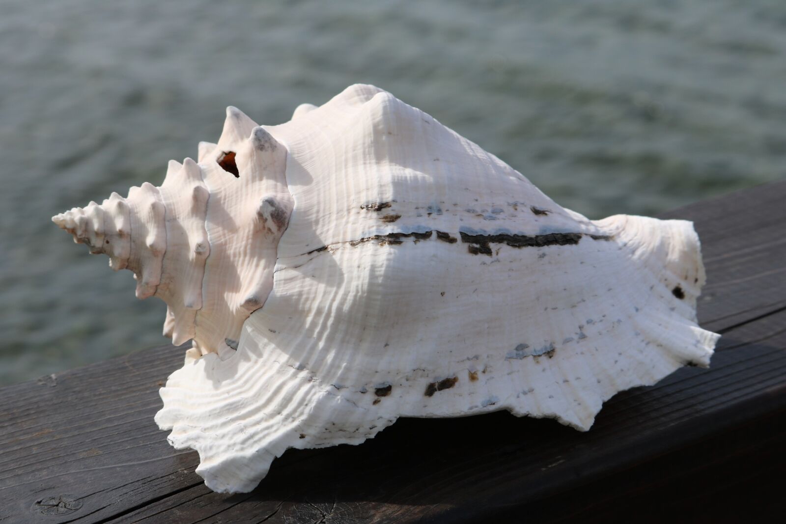 Canon EOS 760D (EOS Rebel T6s / EOS 8000D) sample photo. Body of water, sea photography