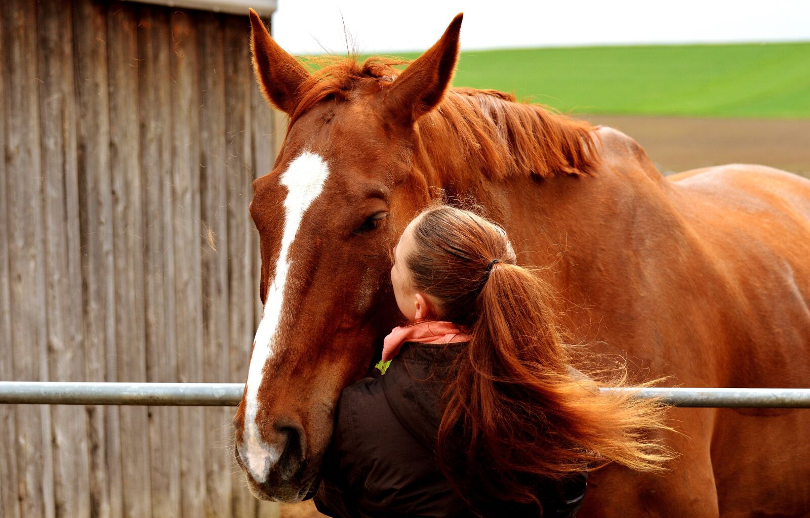 Nikon D3200 sample photo. Love for animals, friendship photography
