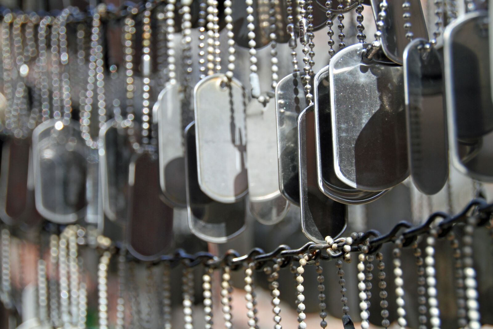 Canon EOS 7D sample photo. Memorial garden, unmarked dogtag photography
