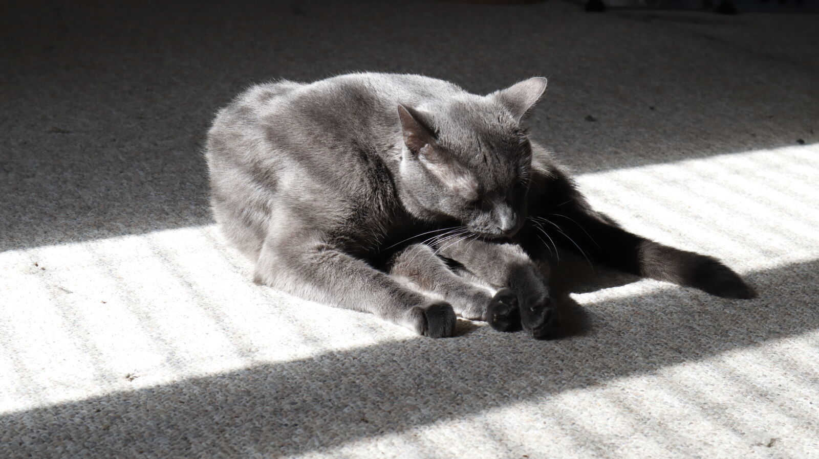 Canon EOS M50 Mark II (EOS Kiss M2) sample photo