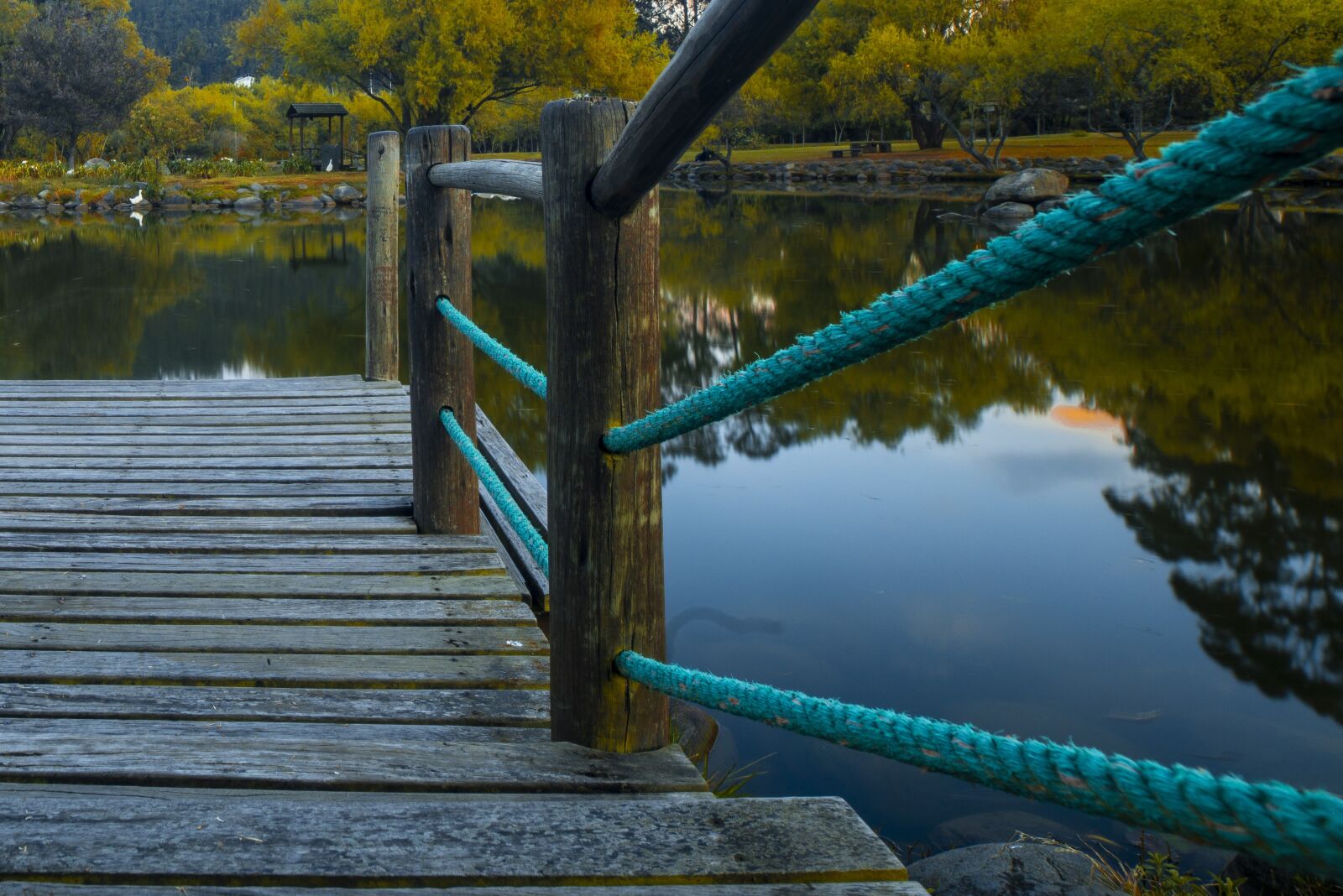 Nikon D600 sample photo. River, water, nature photography