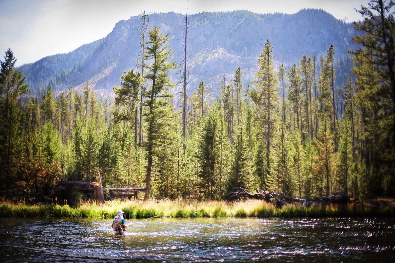 Canon EF 50mm F1.4 USM sample photo. Rocky mountains, fisherman, stream photography