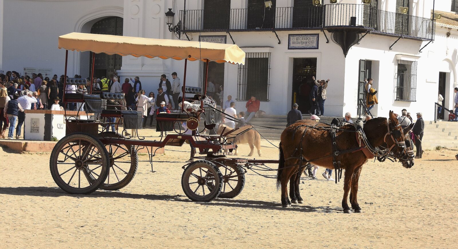 Nikon D7200 sample photo. Rocio, car, carriage photography