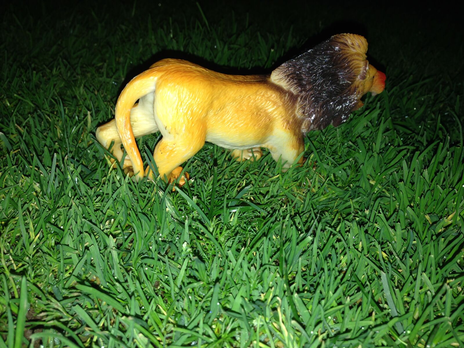 iPhone 5 back camera 4.12mm f/2.4 sample photo. Animal, grass, lion, toy photography