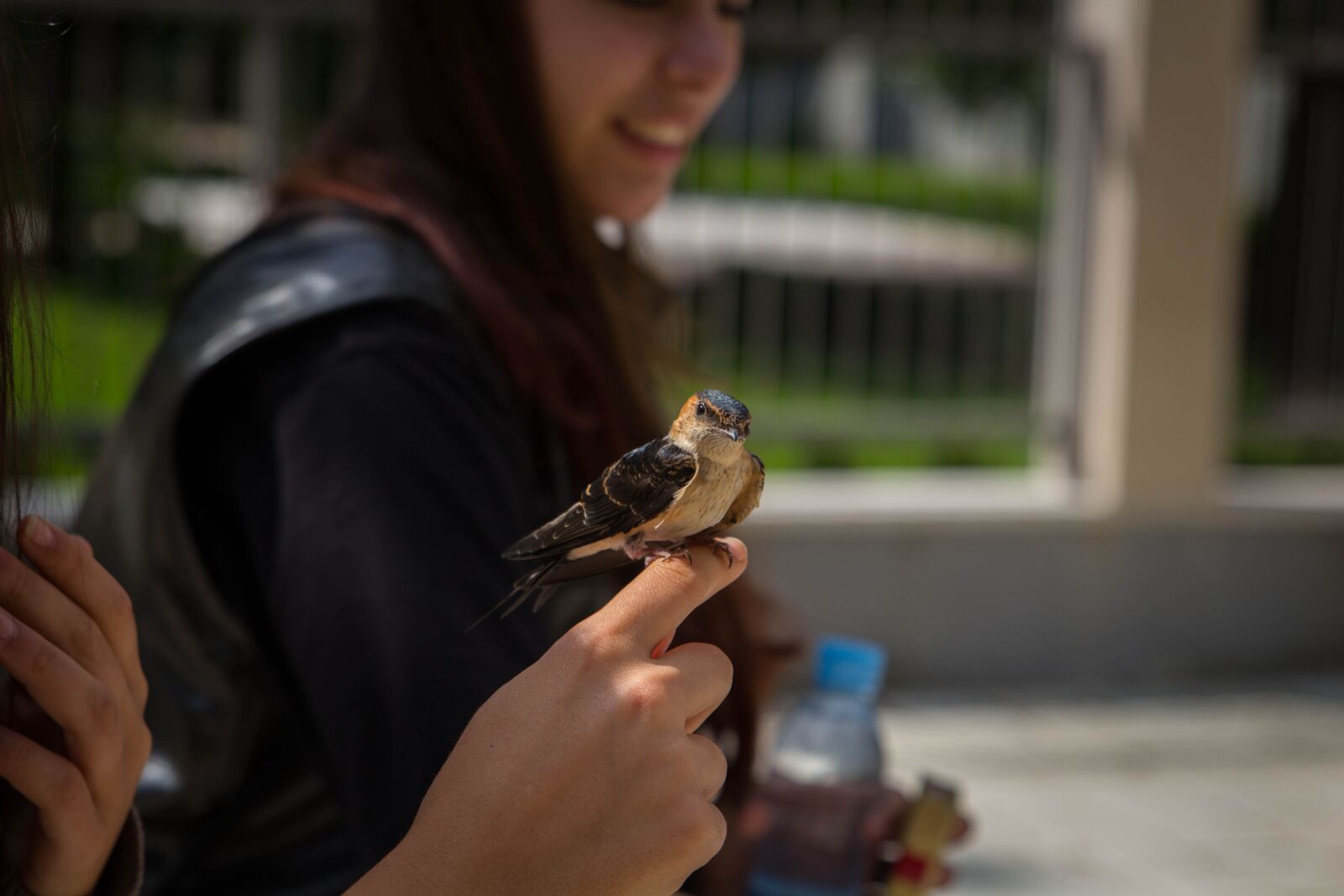 Canon EOS 600D (Rebel EOS T3i / EOS Kiss X5) sample photo. Urban, bird, women photography