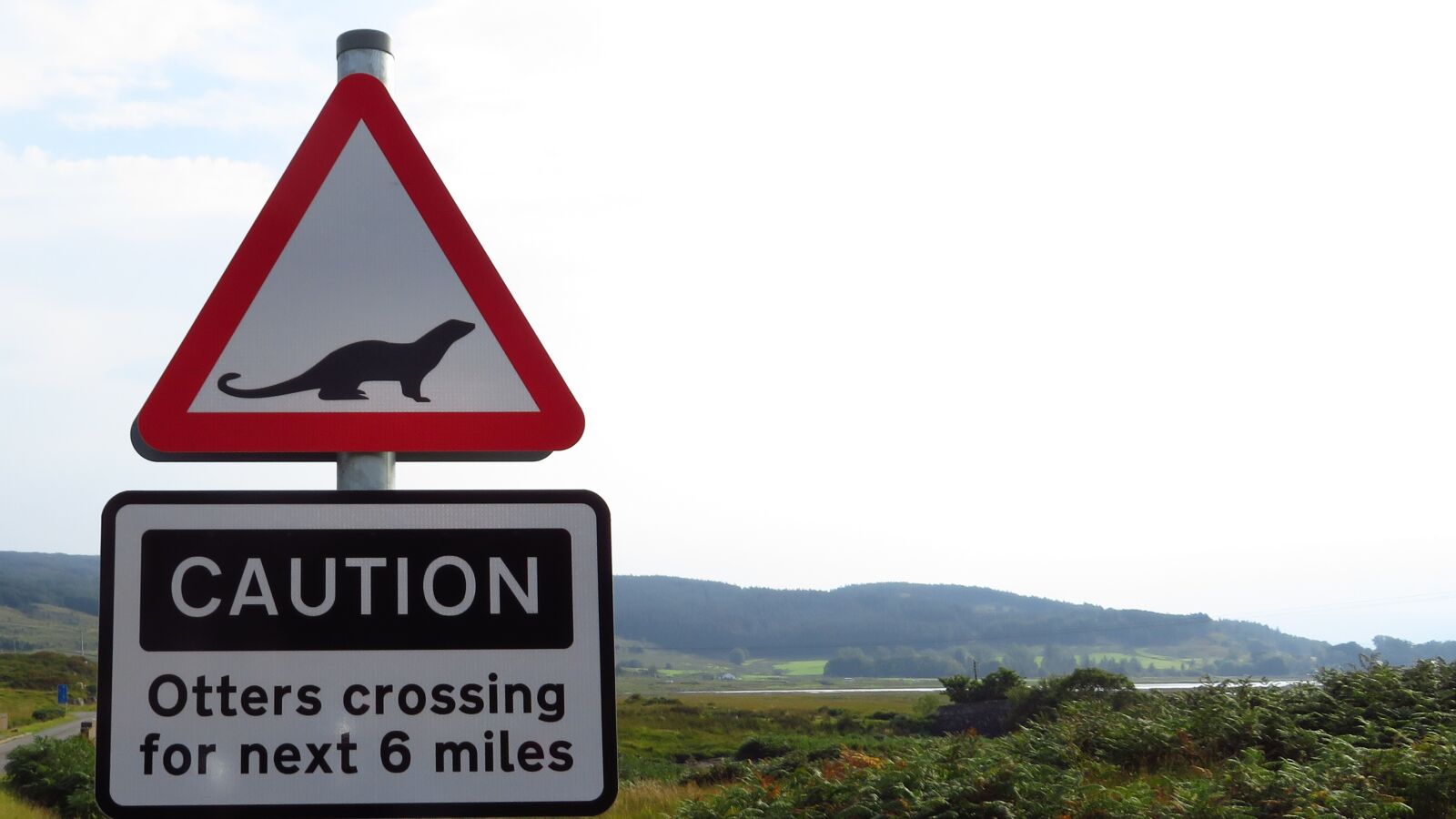 Canon PowerShot SX720 HS sample photo. Otter, road sign, warning photography