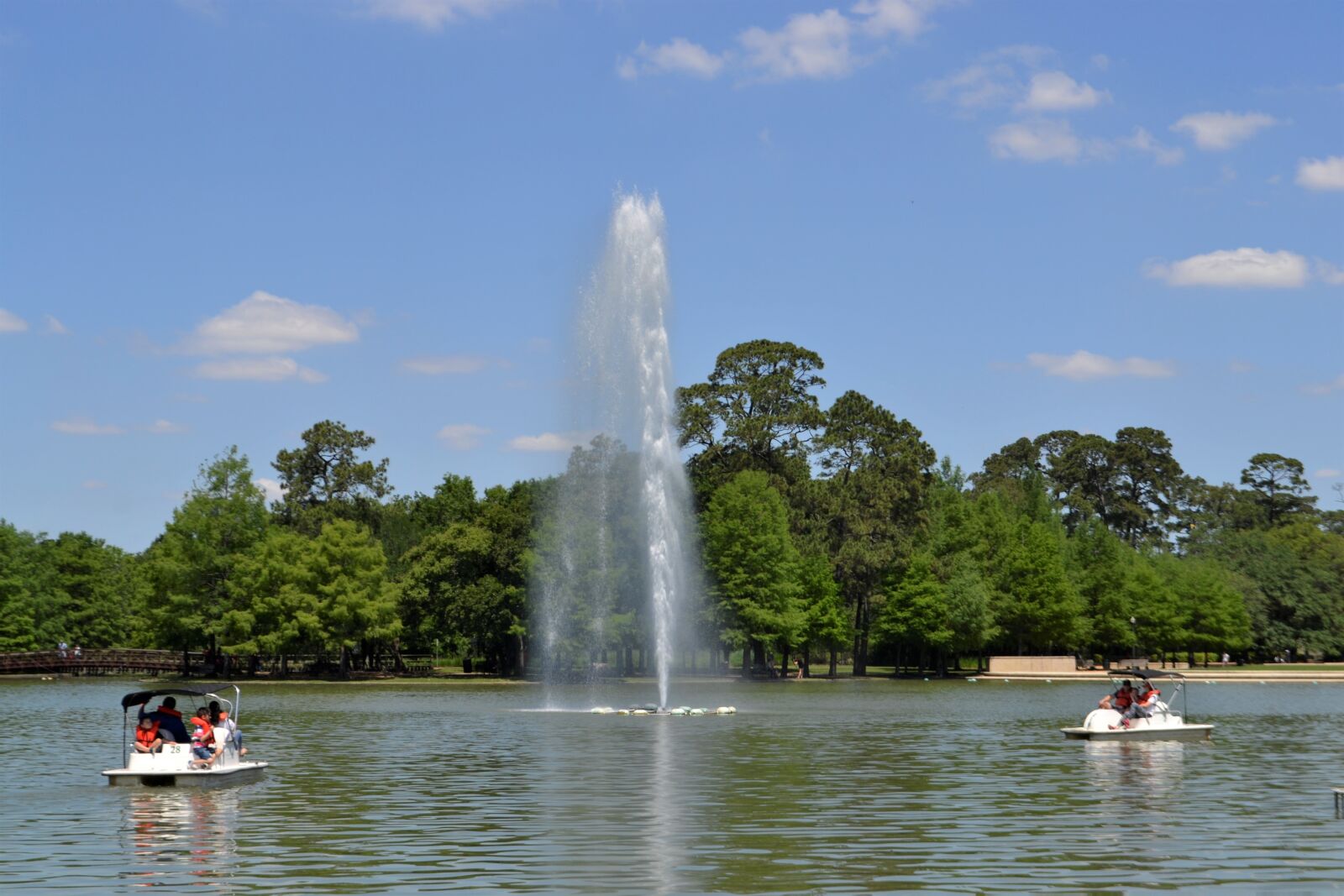 Nikon D3100 sample photo. Geyser, herman national, park photography
