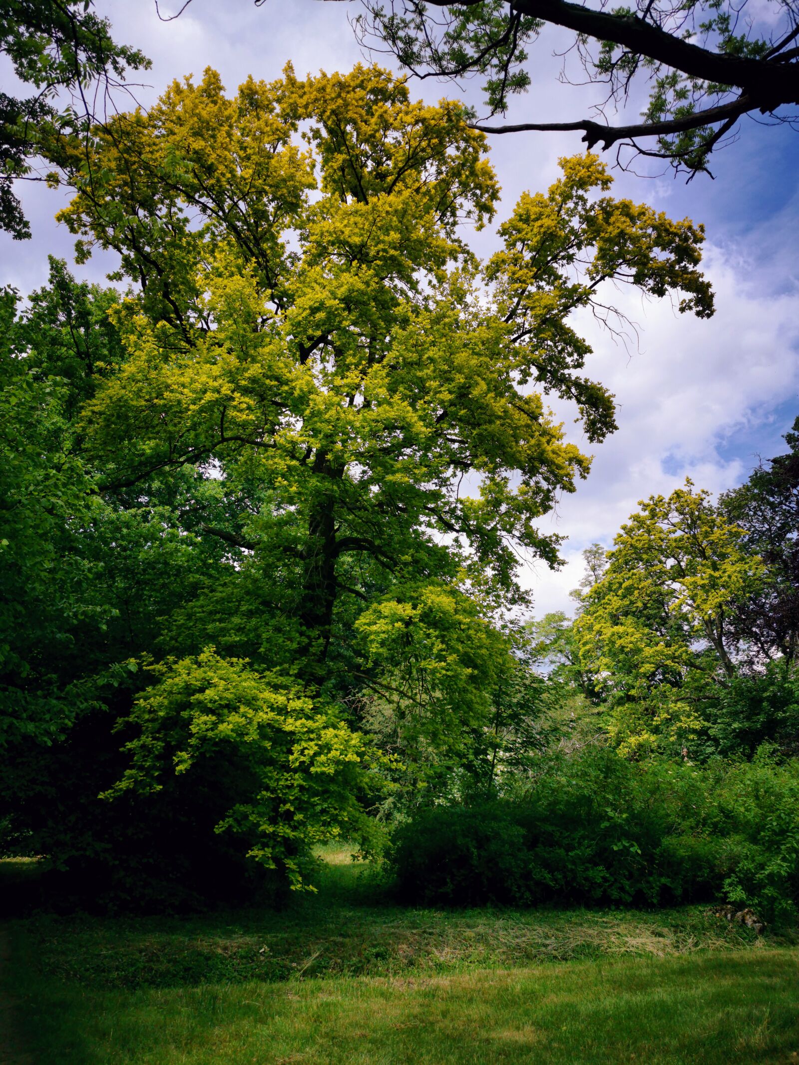 HUAWEI P30 Pro sample photo. Castle park, moated castle photography