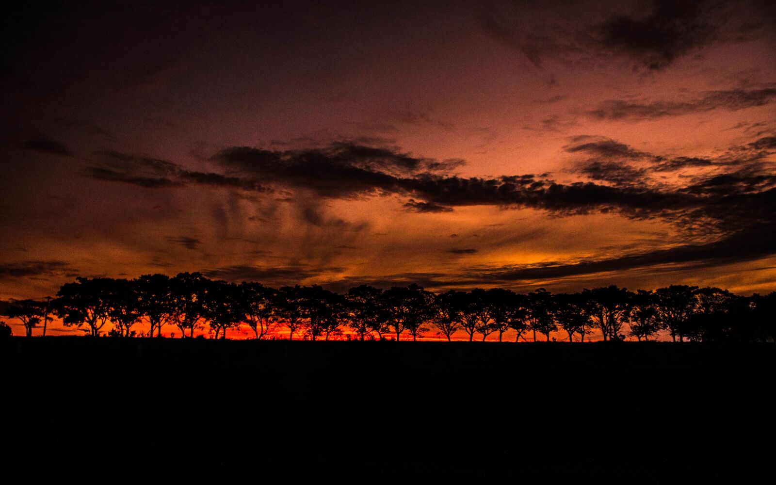 Nikon D7200 sample photo. Sunset, trees, nature photography