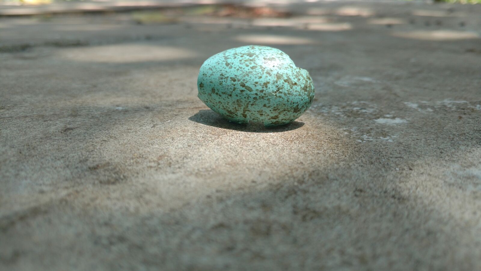 Motorola Moto X Play sample photo. Egg, bird, stone photography