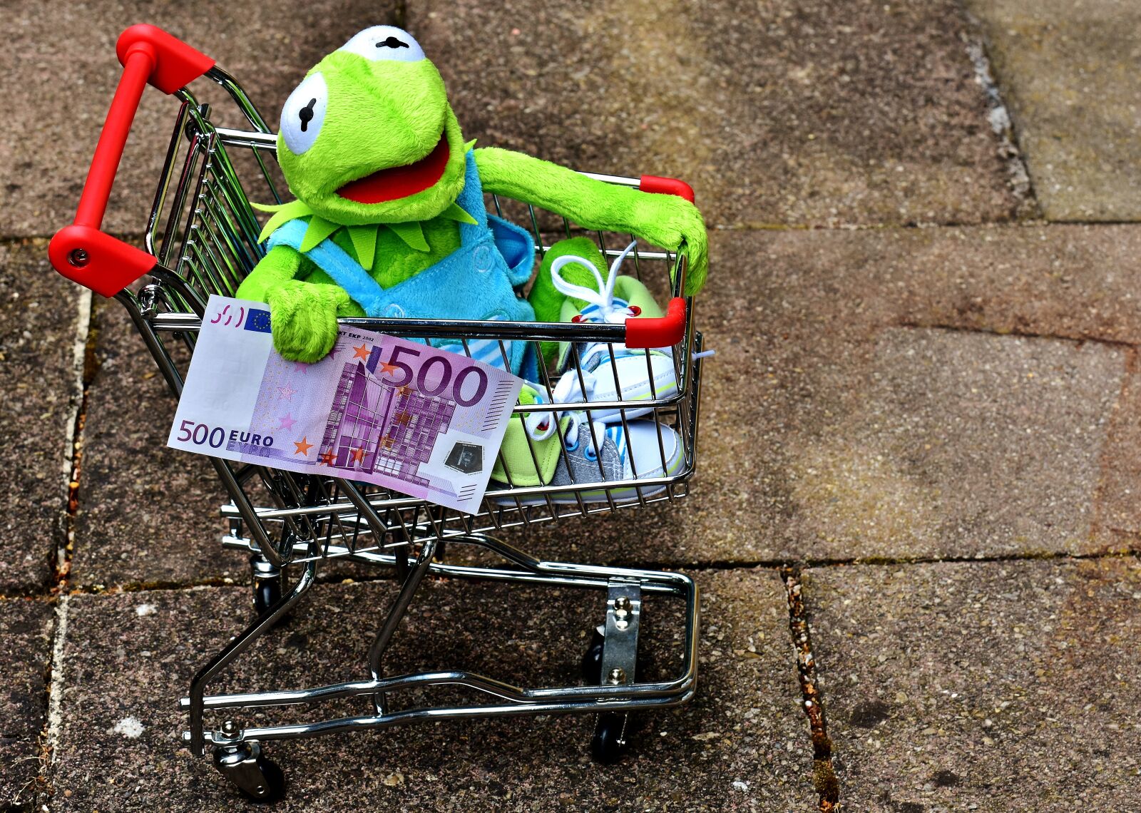 Nikon D7200 sample photo. Kermit, shopping cart, shopping photography