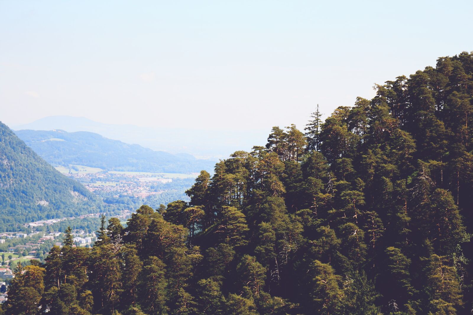 Canon EOS 1300D (EOS Rebel T6 / EOS Kiss X80) sample photo. Mountain, trees, view photography