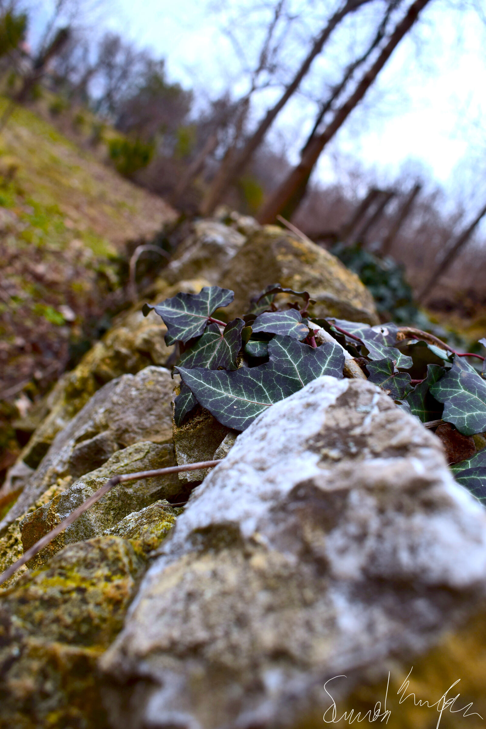 Nikon D3300 sample photo. Landscape, winter photography