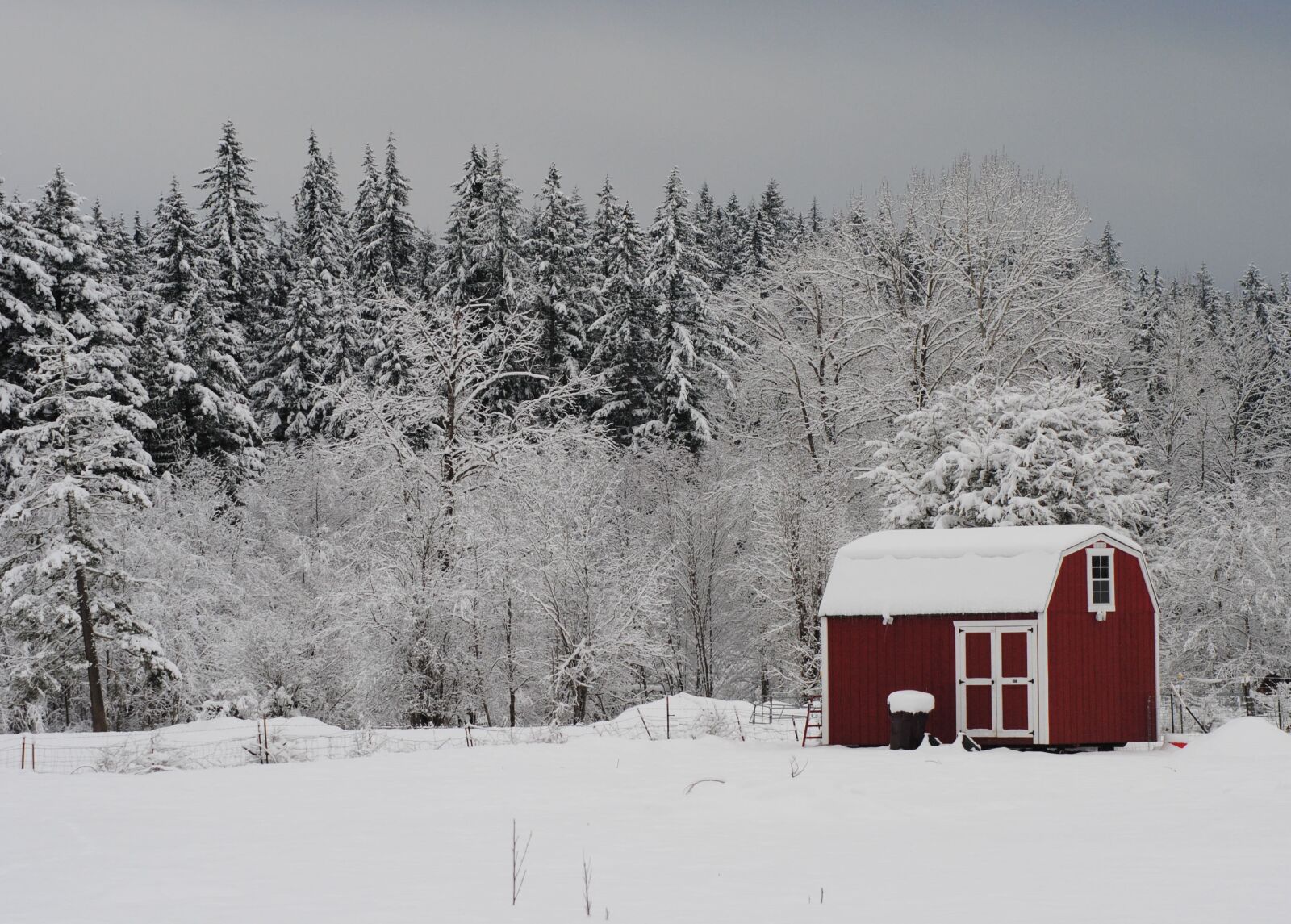 Nikon D3000 sample photo. Winter, snow, barn photography