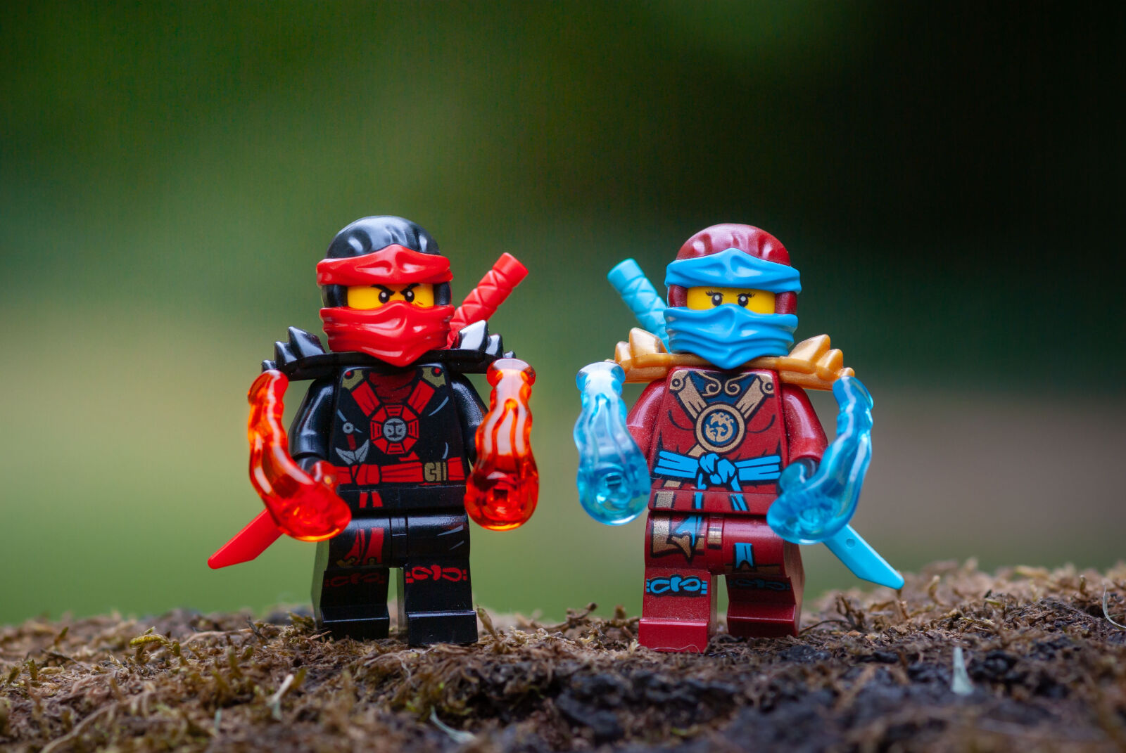 Sigma sample photo