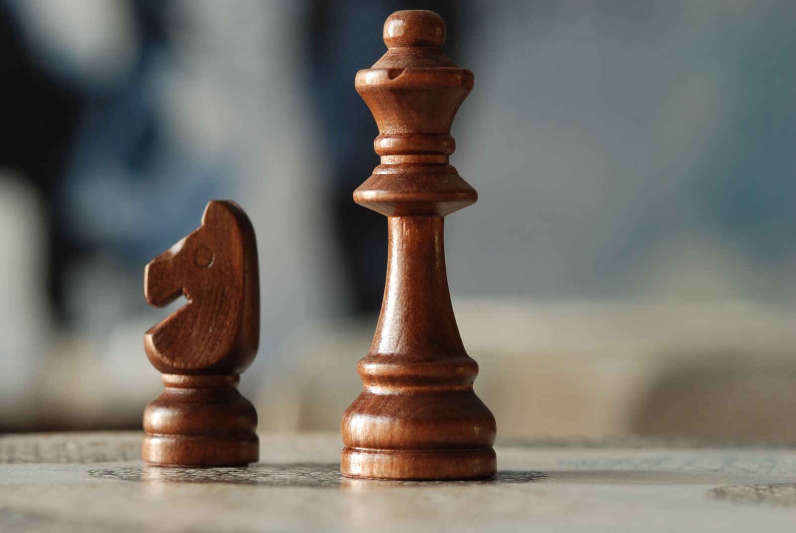 Nikon D80 sample photo. Chess, board, strategy photography