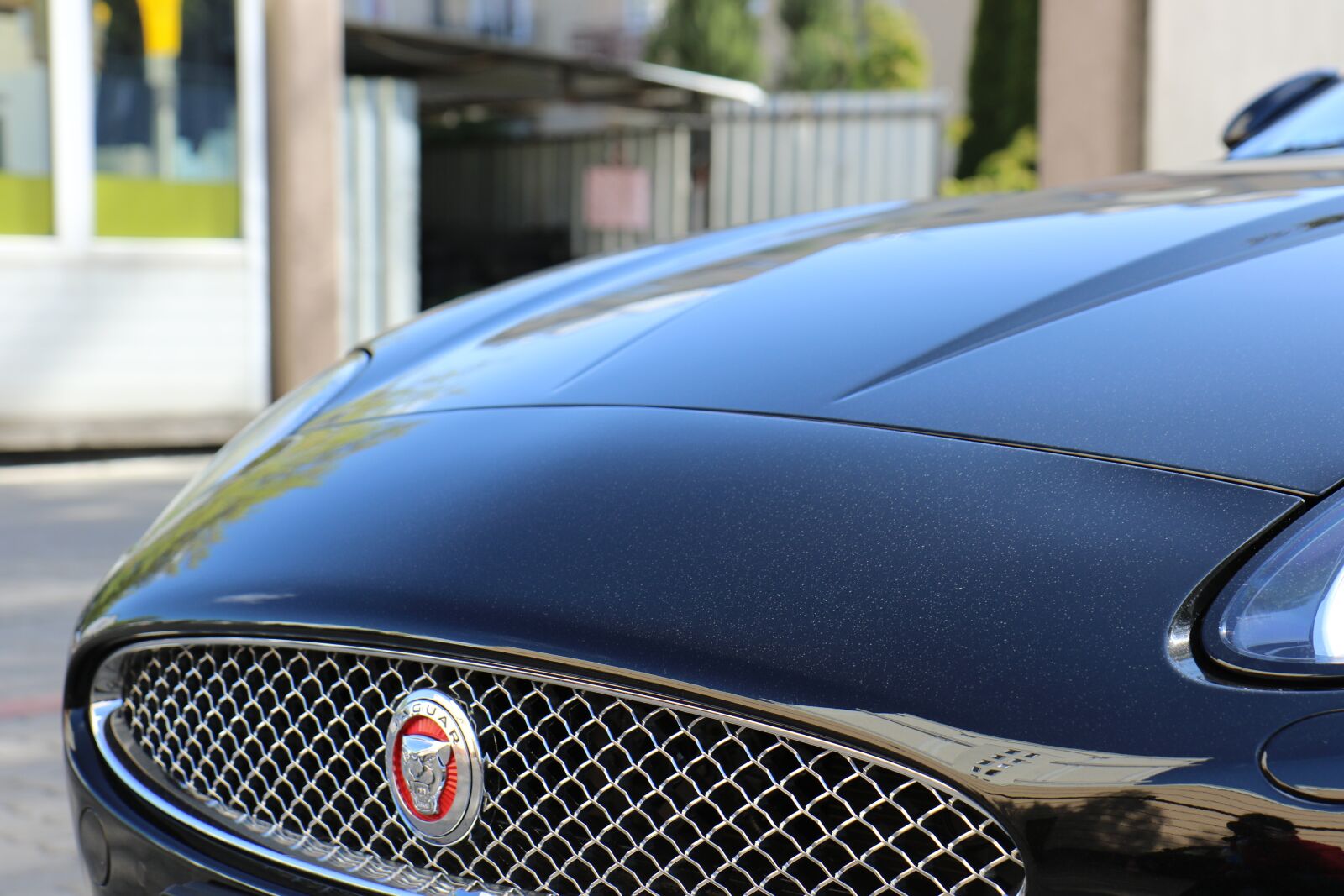 Canon EOS 7D Mark II sample photo. Jaguar, car, sign photography