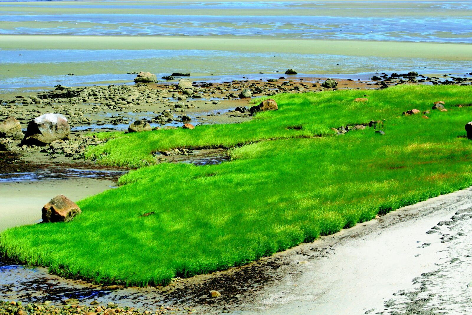 Canon EOS 30D sample photo. Grass, wind, bay photography