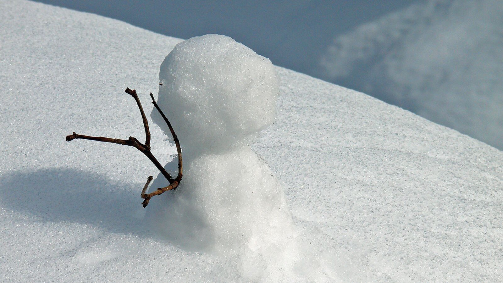 Leica V-LUX 1 sample photo. Snow, snowfall, snowflake photography