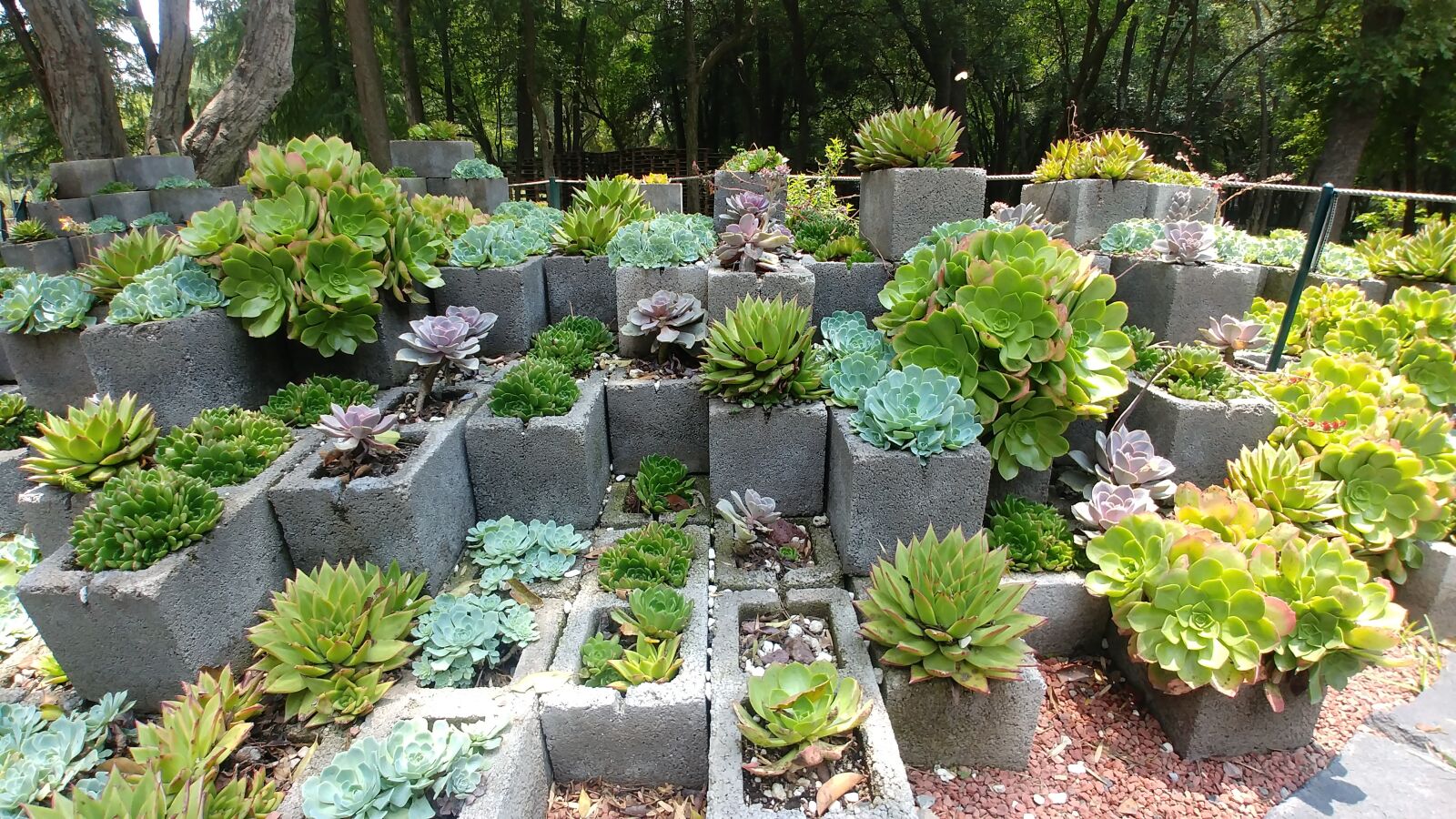LG G6 sample photo. Park, source, garden photography