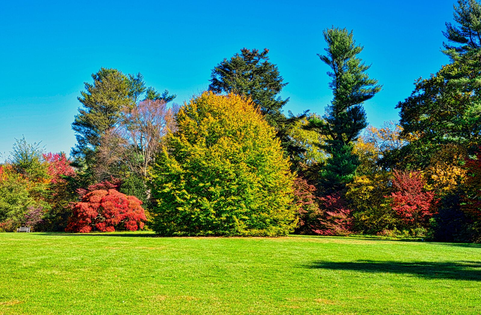 Nikon D750 sample photo. Autumn, arboretum, colorful photography