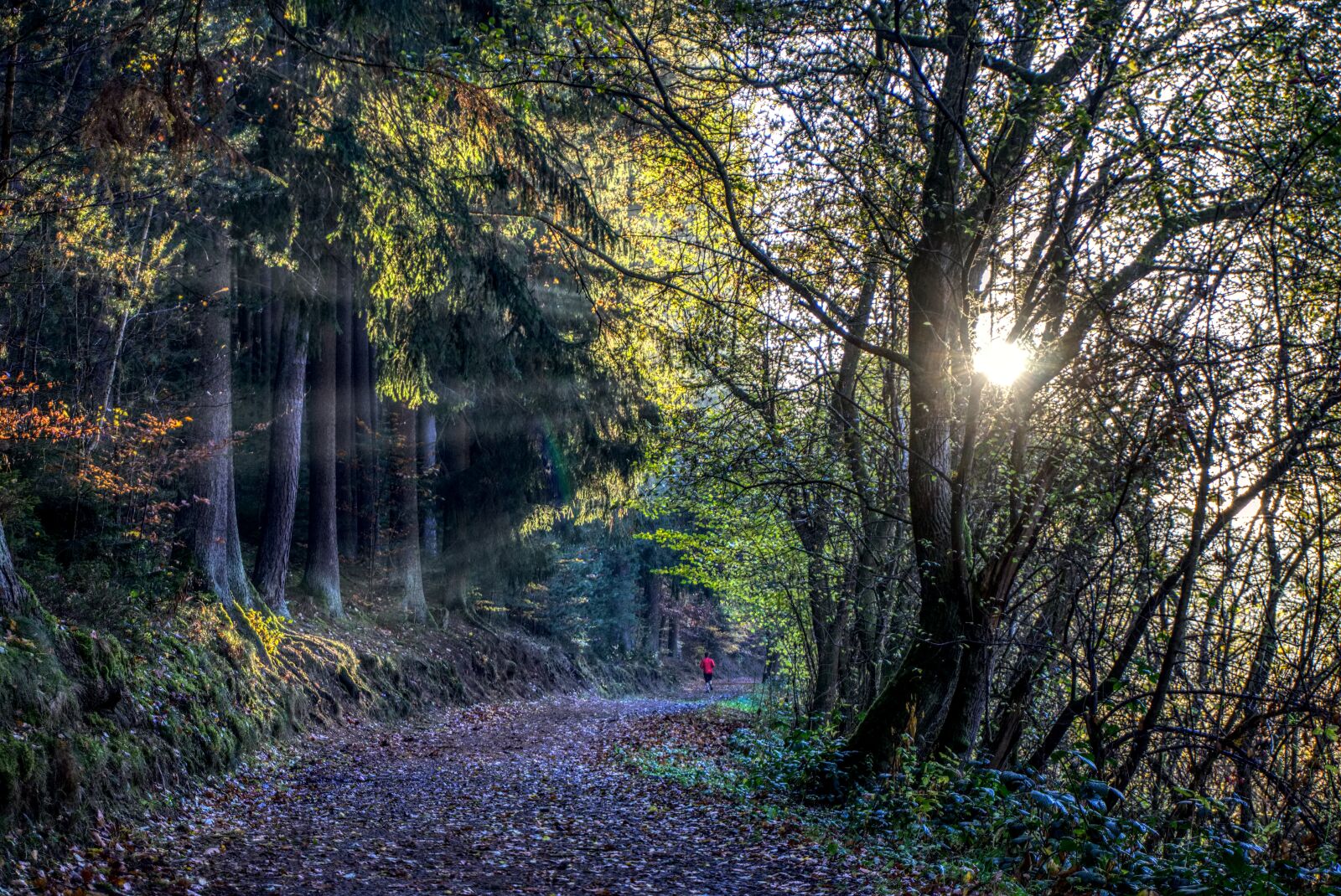Sony a6000 sample photo. Jog, run, sport photography