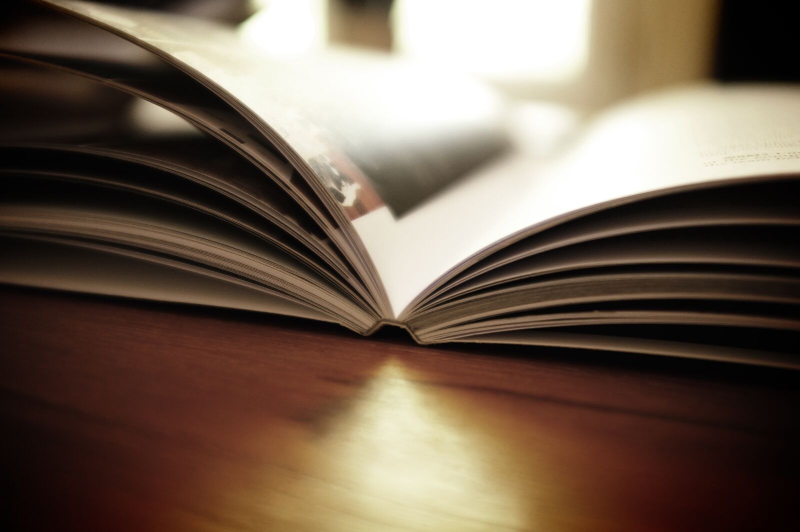 Fujifilm FinePix X100 sample photo. Book, close-up, knowledge photography
