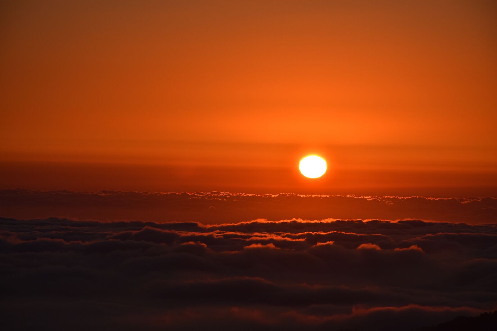 Nikon D5500 sample photo. Sunset, clouds, red photography