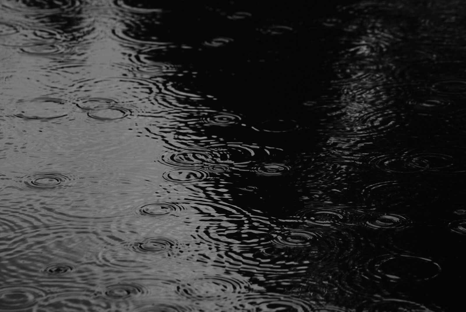 Sony Alpha DSLR-A230 sample photo. Water, drip, drop of photography