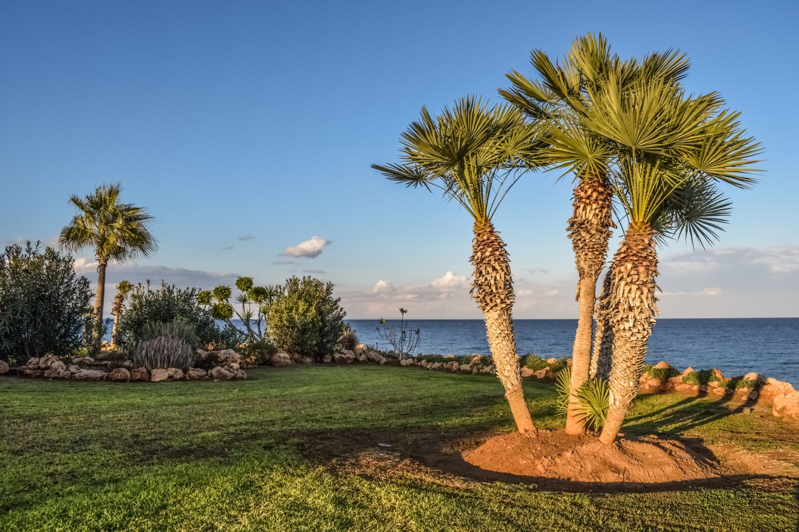 Nikon D3300 sample photo. Landscaping, garden, palm trees photography