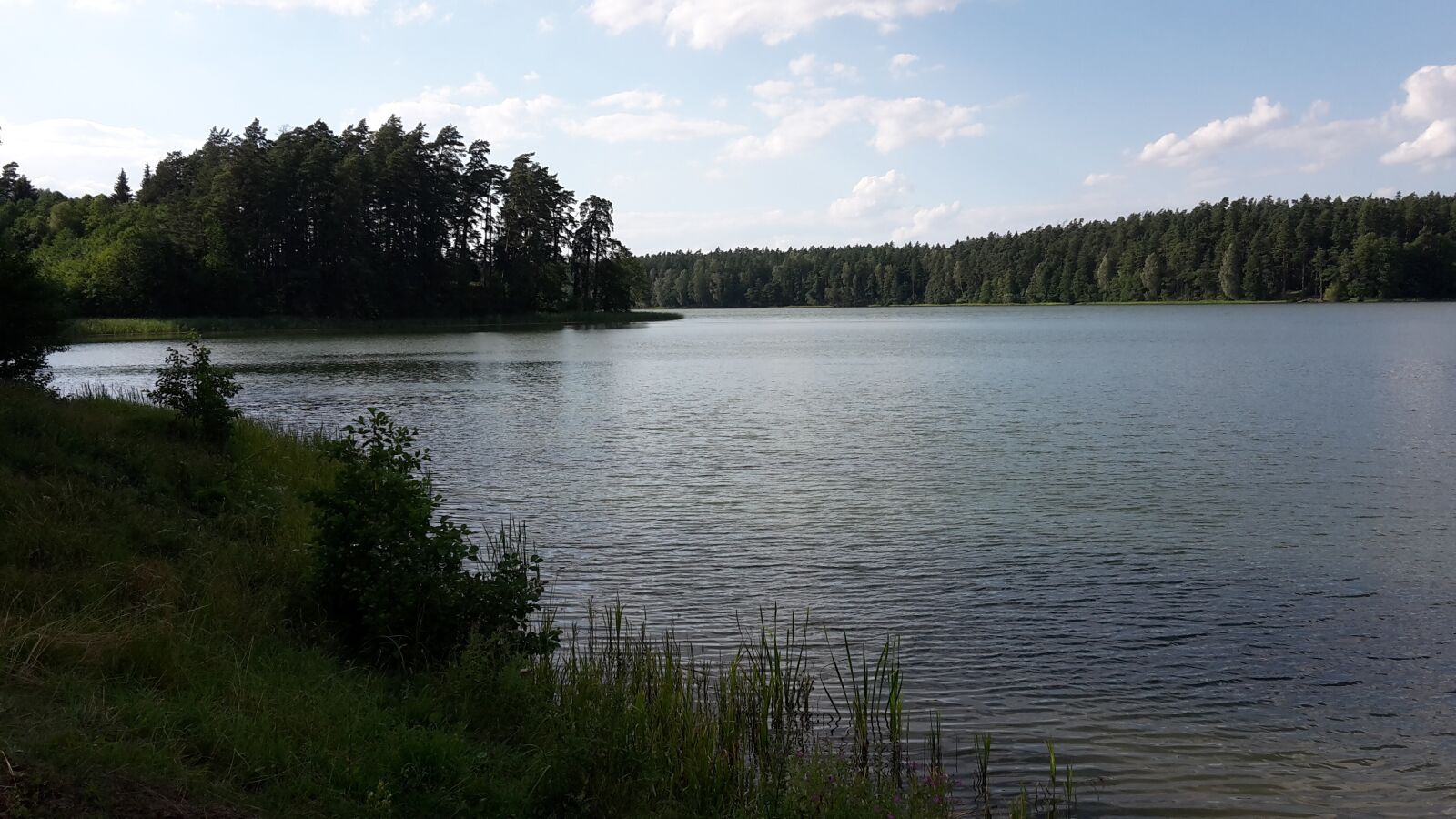 Samsung Galaxy S5 Mini sample photo. Lake, forest, landscape photography