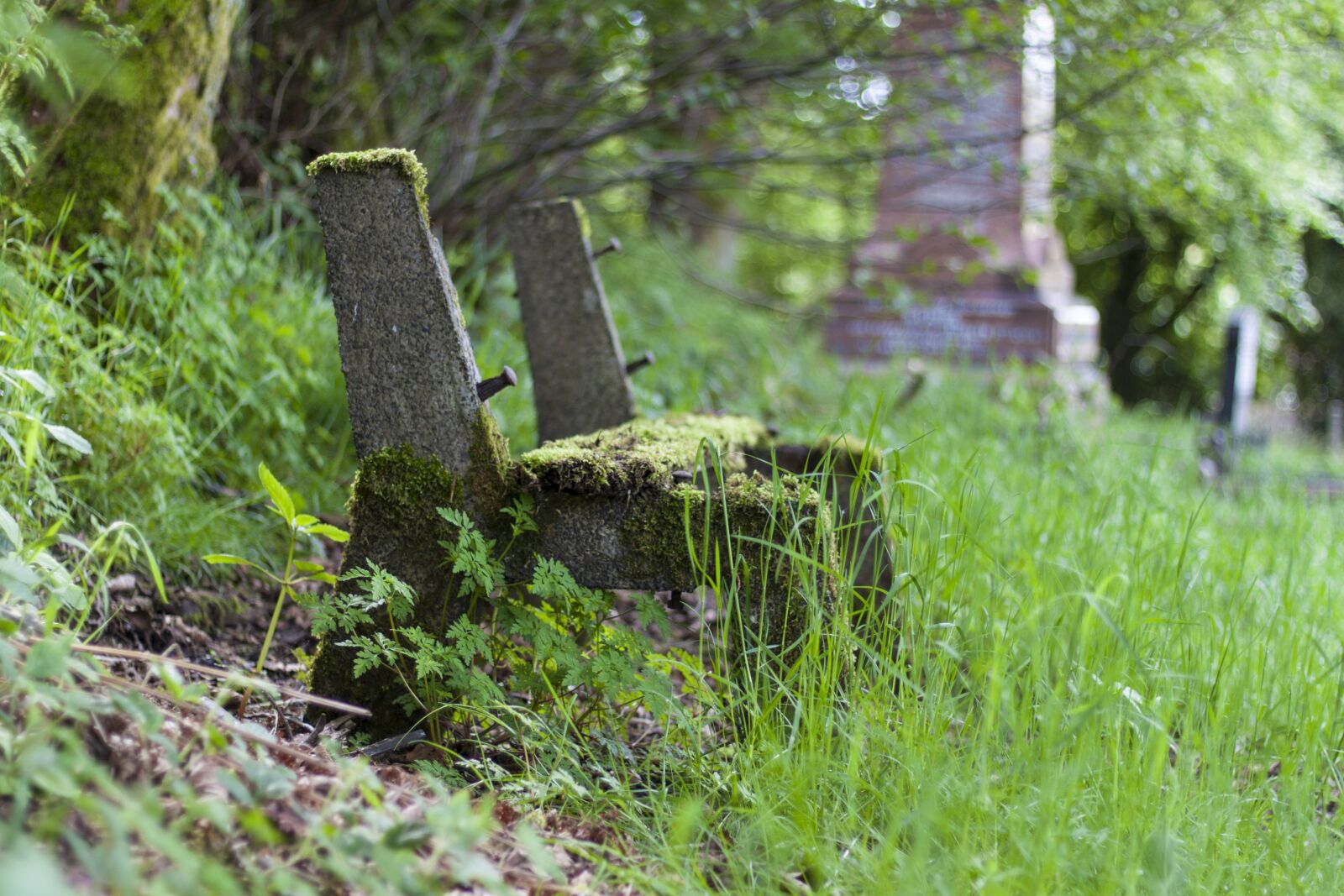 Canon EOS 500D (EOS Rebel T1i / EOS Kiss X3) + Canon EF 50mm F1.8 STM sample photo. Graveyard, bench, seat photography