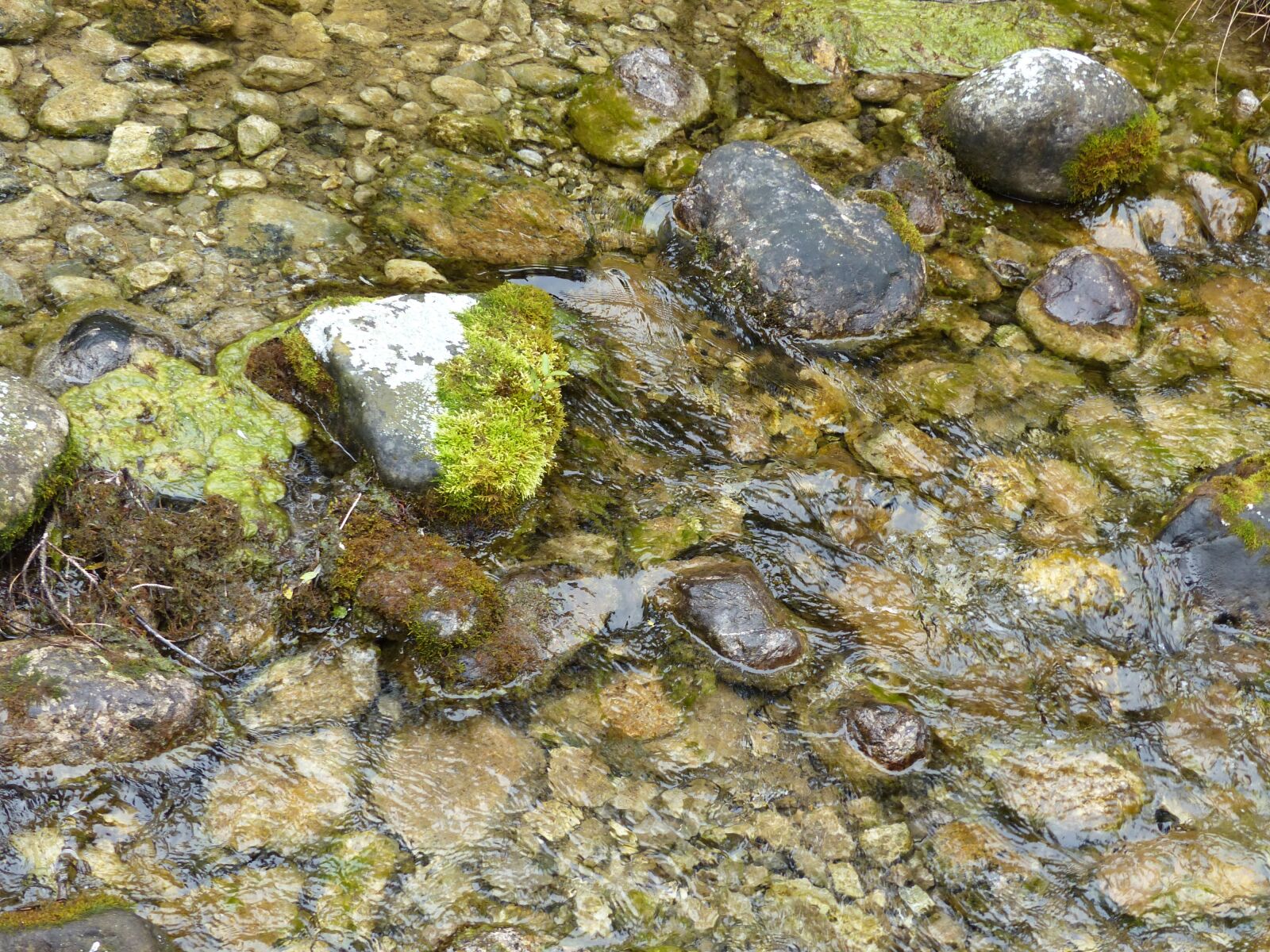Panasonic Lumix DMC-FZ200 sample photo. Natural water, bach, stones photography