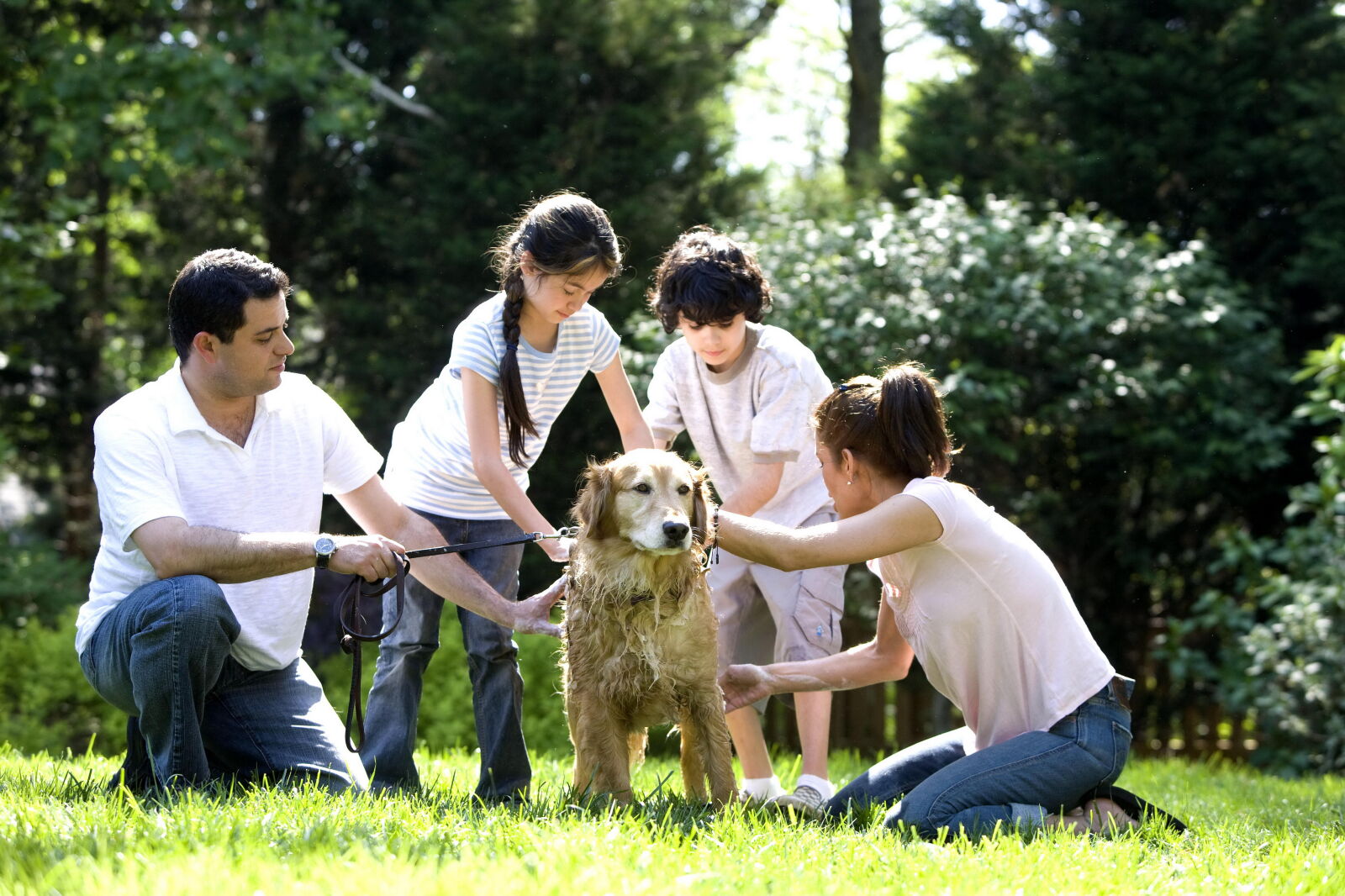 Canon EOS-1Ds Mark II sample photo. Children, washing, dog, outside photography