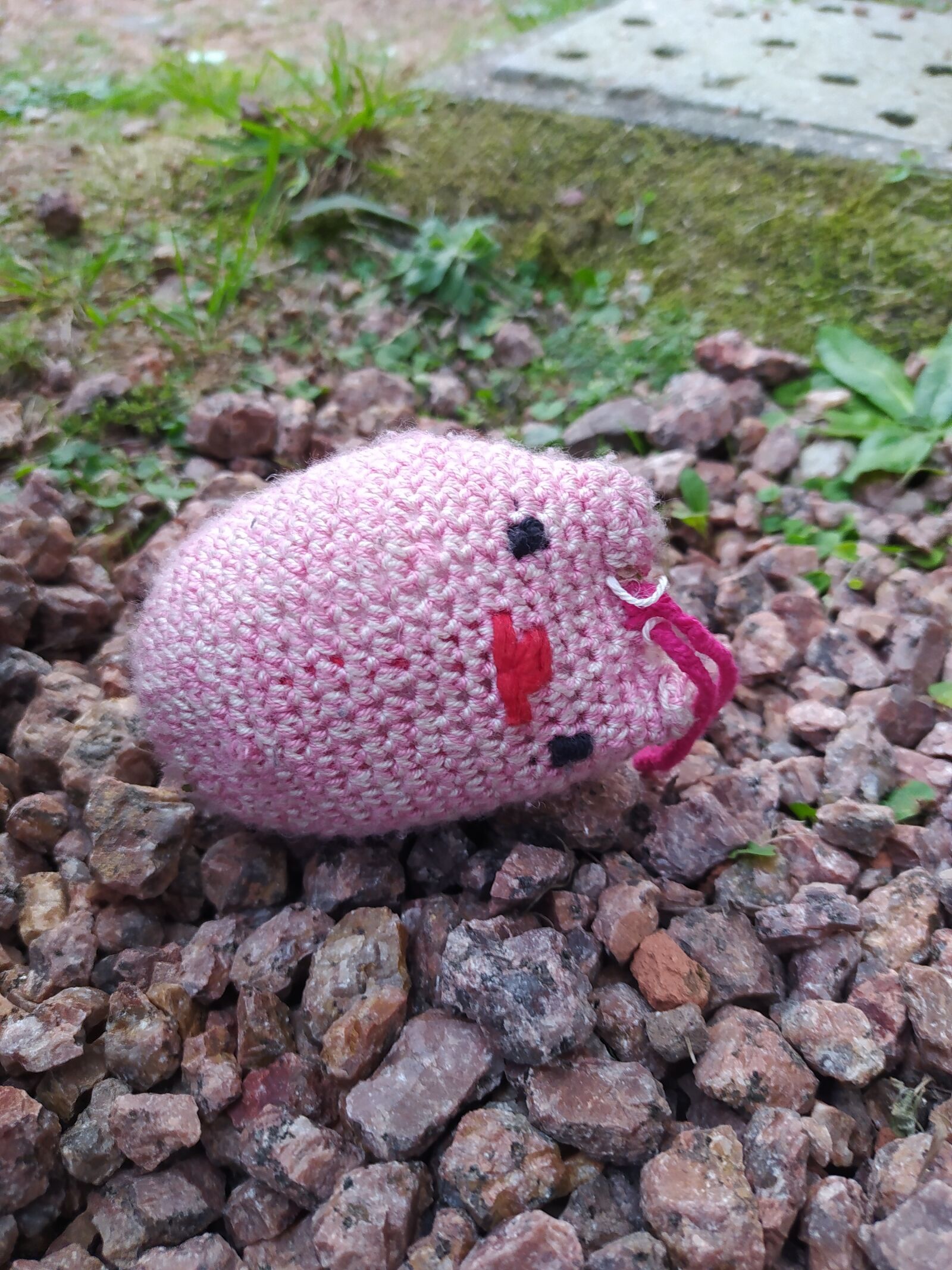 Xiaomi Redmi Note 8 sample photo. Amigurumi, floor, grass photography