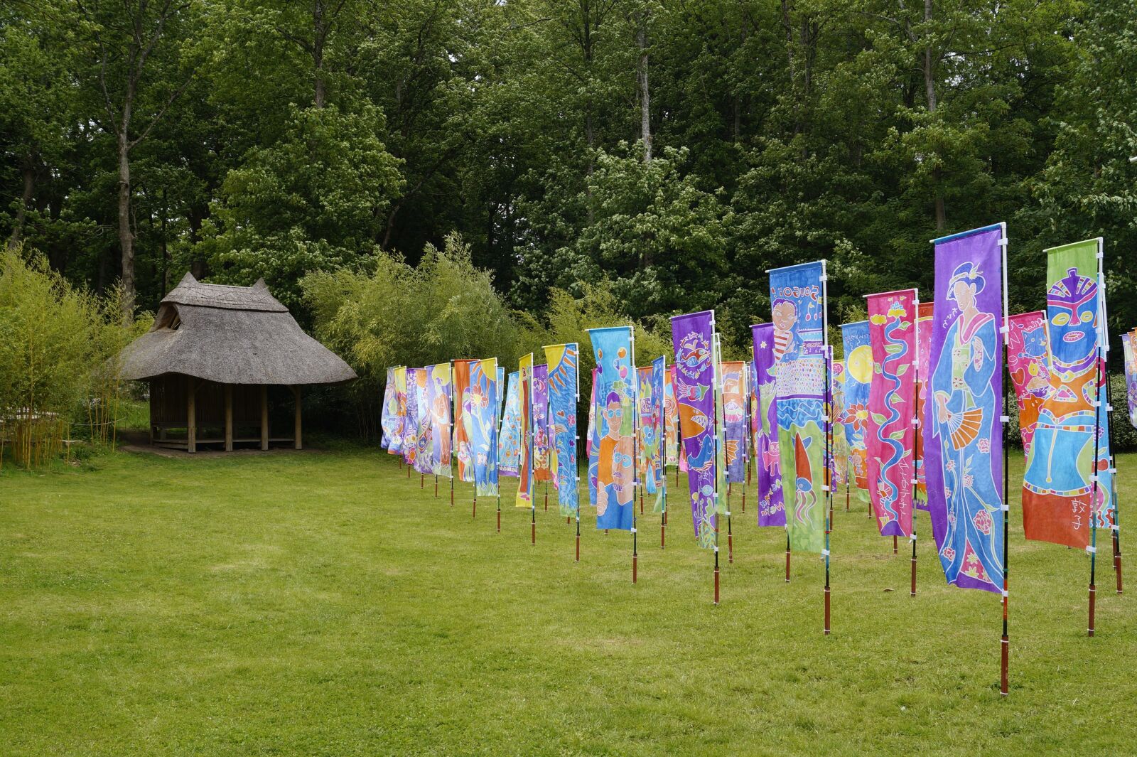 Sony DT 18-55mm F3.5-5.6 SAM II sample photo. Flags, silk, painted photography