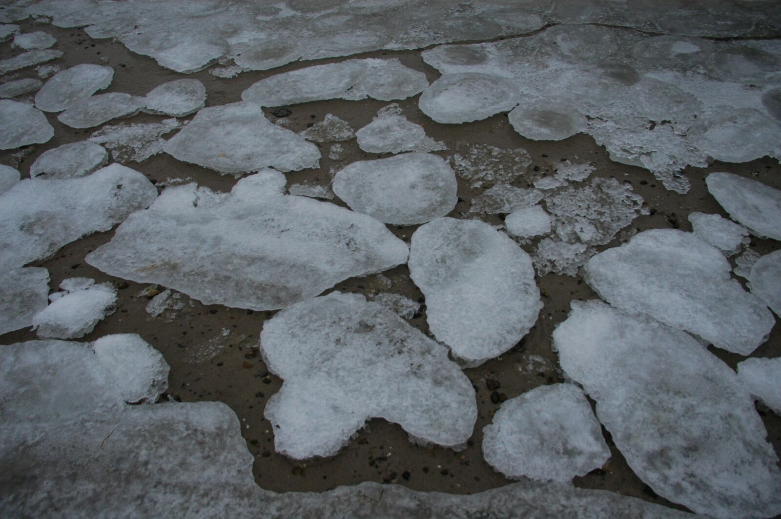 Nikon D100 sample photo. Ice floes, baltic sea photography